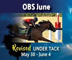 watch-ocala-sales-june-under-tack-show-on-past-the-wire-live