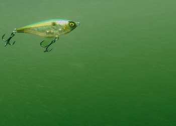 how-to-fish-twitch-baits-for-bass-|-jerkbait-alternative-–-wired2fish