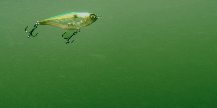 how-to-fish-twitch-baits-for-bass-|-jerkbait-alternative-–-wired2fish