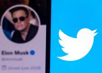 dogecoin-co-creator-says-'delusional'-elon-musk-wants-to-'destroy'-twitter-–-benzinga