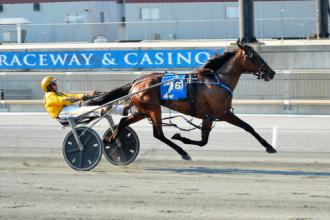 harrington:-incaseyoudidntknow-lowers-track-record-–-daily-racing-form