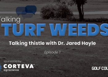 talking-turf-weeds-1:-thistle-with-dr.-jared-hoyle-–-golf-course-industry
