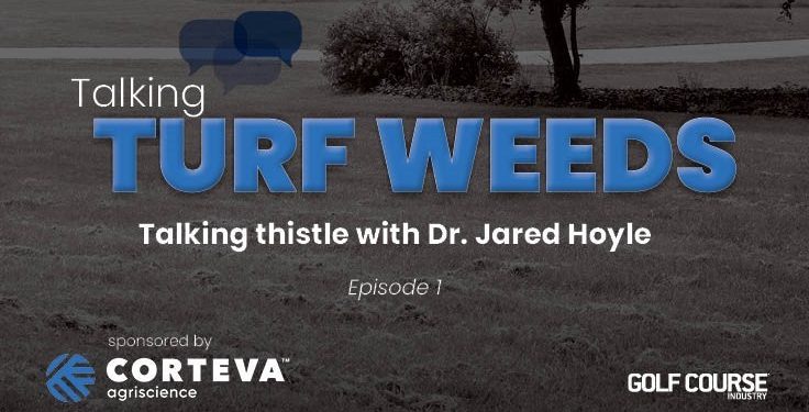 talking-turf-weeds-1:-thistle-with-dr.-jared-hoyle-–-golf-course-industry