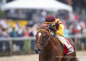 irish-war-cry-filly-zips-furlong-in-9-4/5-seconds-friday-at-obs-–-horse-racing-news