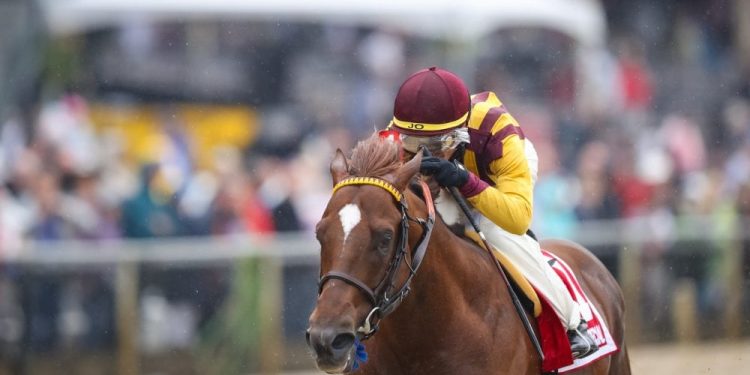 irish-war-cry-filly-zips-furlong-in-9-4/5-seconds-friday-at-obs-–-horse-racing-news