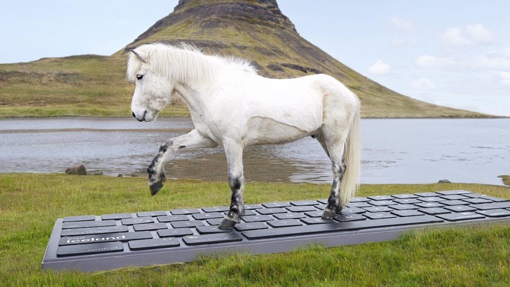 these-icelandic-horses-will-write-your-out-of-office-emails-for-you