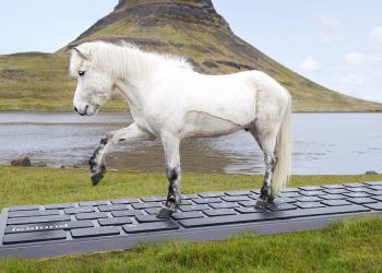 these-icelandic-horses-will-write-your-out-of-office-emails-for-you