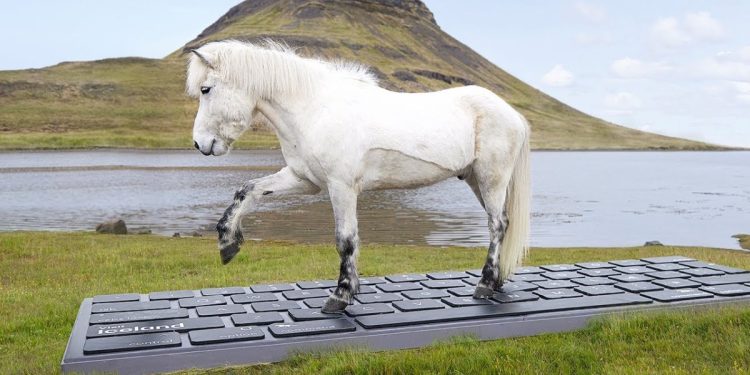 these-icelandic-horses-will-write-your-out-of-office-emails-for-you