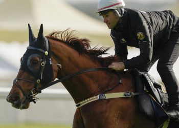 “never-been-better”:-nature-strip-set-to-be-crowned-world's-best-–-racenet