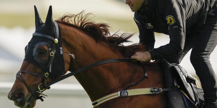 “never-been-better”:-nature-strip-set-to-be-crowned-world's-best-–-racenet