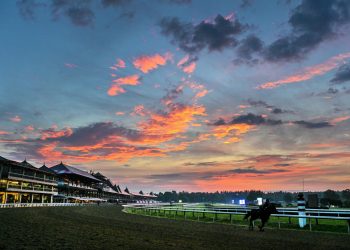 saratoga-race-course-is-still-hiring-for-2022-meet-–-times-union