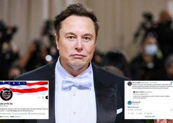 elon-musk-defends-'libs-of-tiktok'-over-twitter-death-threats-–-new-york-post