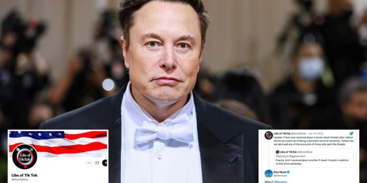 elon-musk-defends-'libs-of-tiktok'-over-twitter-death-threats-–-new-york-post