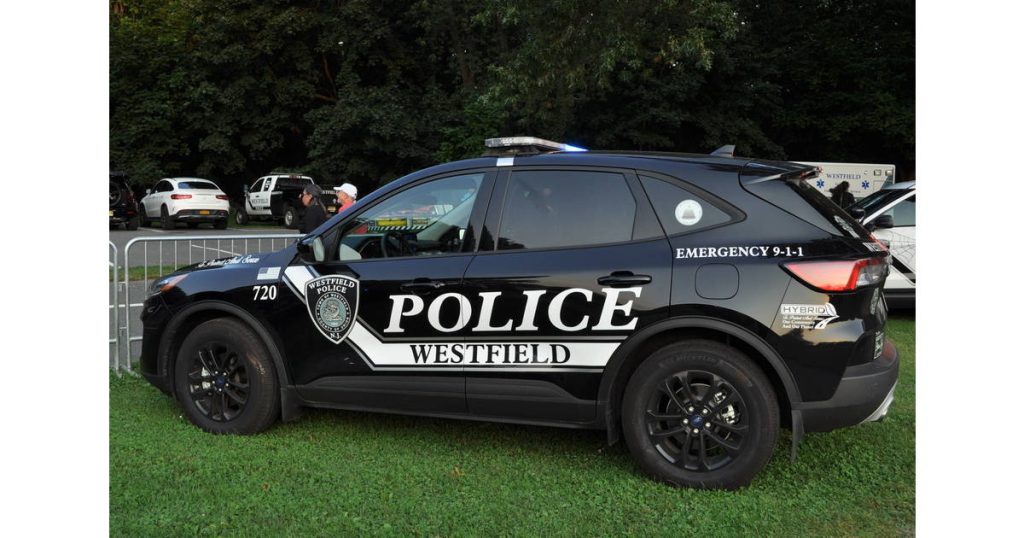 teen-arrested-in-beating-of-westfield-15-year-old-posted-to-snapchat,-mayor-says-–-tapinto