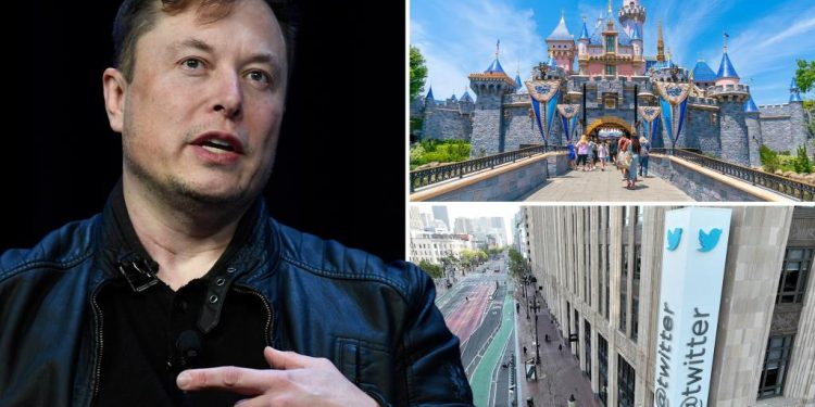 twitter-cancels-company-retreat-in-disneyland-ahead-of-elon-musk-meeting-–-new-york-post