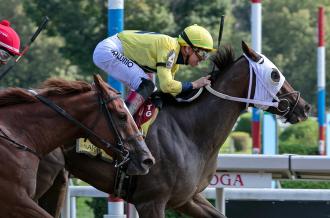 cilla-named-2021-louisiana-bred-horse-of-the-year-–-daily-racing-form