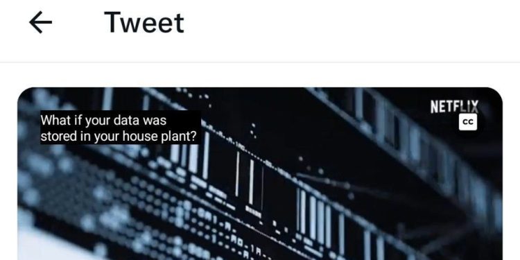 twitter's-closed-caption-toggle-is-now-available-on-ios-and-android-–-the-verge