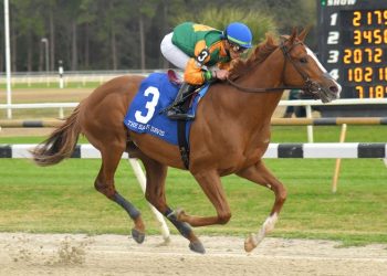 international-cast-of-13-set-for-belmont-derby-invitational-–-horse-racing-news