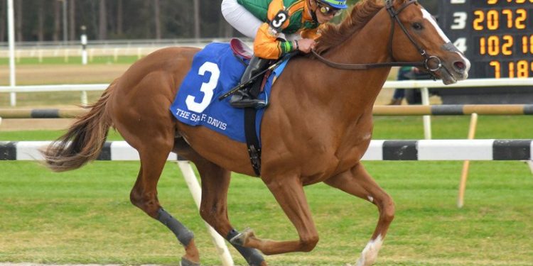 international-cast-of-13-set-for-belmont-derby-invitational-–-horse-racing-news
