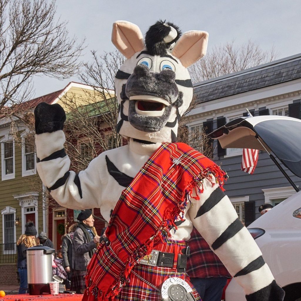 join-our-specialty-facebook-groups-–-the-zebra-press