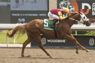 poulin-in-o-t-has-easy-stakes-debut-triumph-in-victoria-–-daily-racing-form
