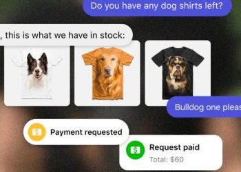 instagram-launches-payment-in-chat-feature-for-businesses-|-retail-dive