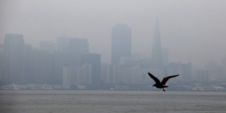 as-twitter-rethinks-its-san-francisco-footprint,-a-bigger-$9-billion-question-hangs-…-–-marketwatch