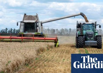 anti-vax-twitter-accounts-pushing-food-crisis-misinformation,-study-finds-–-the-guardian