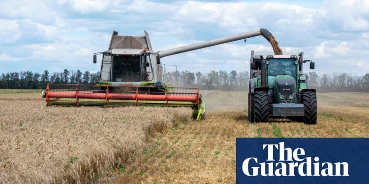 anti-vax-twitter-accounts-pushing-food-crisis-misinformation,-study-finds-–-the-guardian