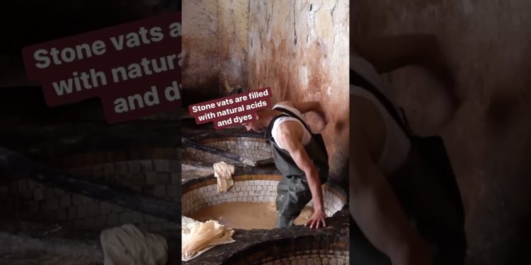 the-#chouara-tannery-in-fez,-morroco-is-the-oldest-#tannery-in-the-world.-#shorts-–-youtube