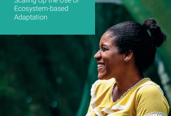 harnessing-nature-to-build-climate-resilience:-scaling-up-the-use-of-ecosystem-based-adaptation