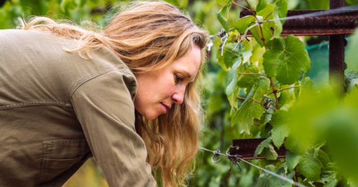star-winemaker-launches-new-wine-brand-in-refillable-bottles-–-eater-sf