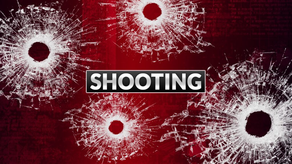 vehicle-shot-at-dauphin-island-parkway,-children-inside-–-wkrg