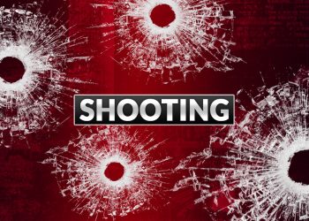 vehicle-shot-at-dauphin-island-parkway,-children-inside-–-wkrg