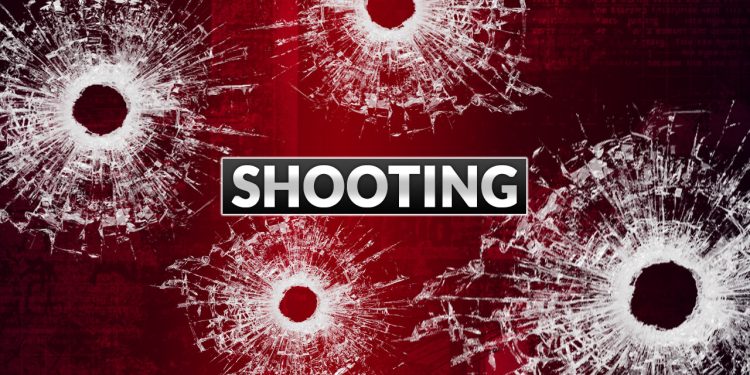 vehicle-shot-at-dauphin-island-parkway,-children-inside-–-wkrg