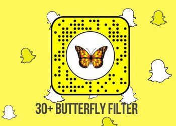 unlock-the-butterflies-lens-on-snapchat!-[quick-guide]-–-the-rc-online