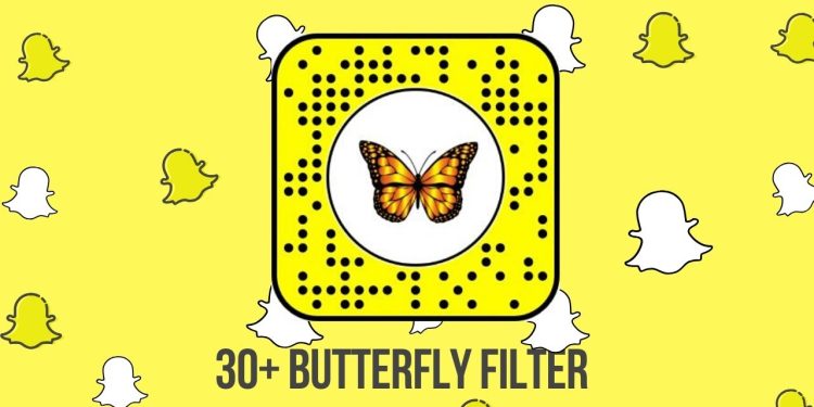 unlock-the-butterflies-lens-on-snapchat!-[quick-guide]-–-the-rc-online
