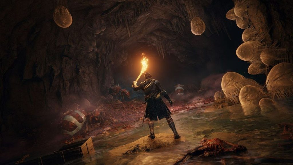 elden-ring-modder-streams-pre-launch-build-with-debug-camera-and-out-of-bounds-areas