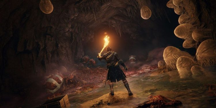 elden-ring-modder-streams-pre-launch-build-with-debug-camera-and-out-of-bounds-areas