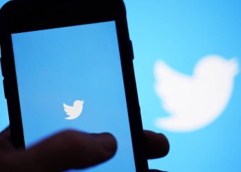 twitter-must-hand-over-one-bot-checker's-files-to-musk:-its-ex-product-head-–-the-irish-times