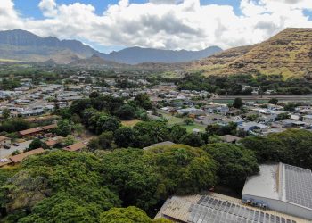 08/15/22-–-fellowships-announced-for-kaulunani-forestry-program