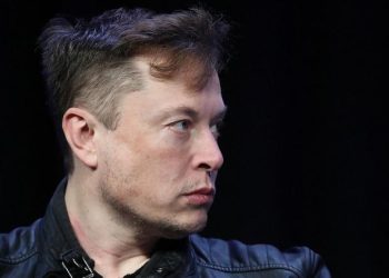 twitter-avoiding-to-share-information-on-bot-accounts,-says-elon-musk-–-business-standard