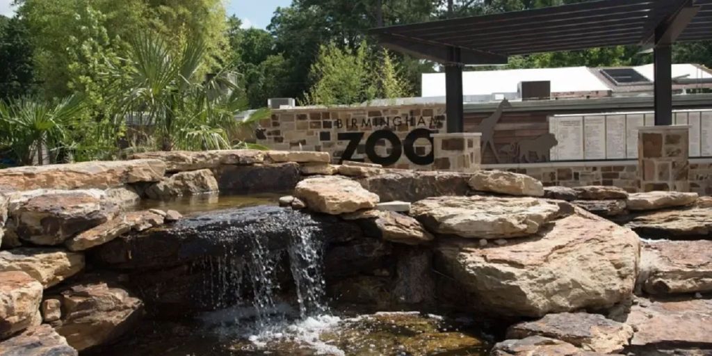 wild-at-heart-party-will-boost-habitats,-education-at-birmingham-zoo-–-yellowhammer-news