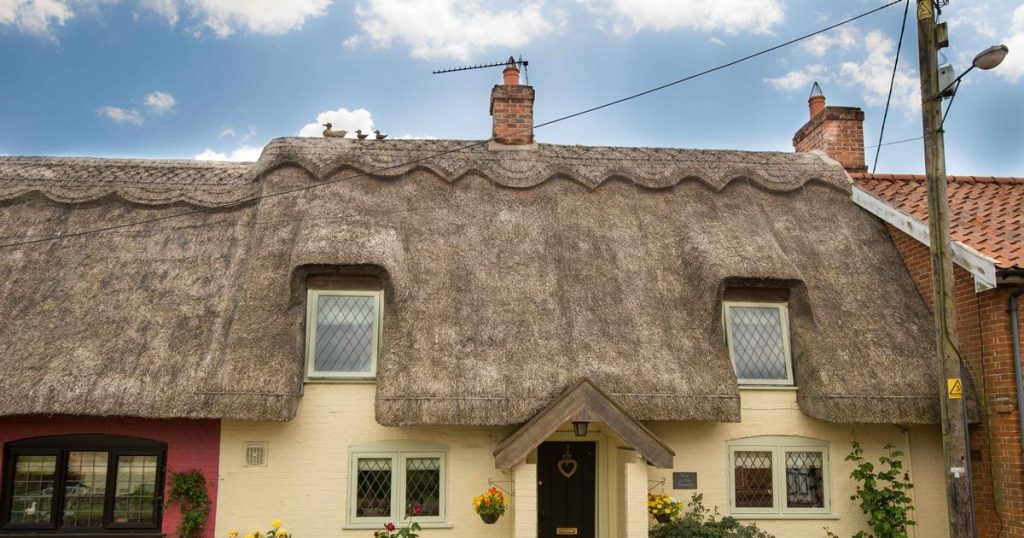 'my-neighbour-keeps-taking-photos-of-my-house-for-instagram-and-pretending-it's-hers'
