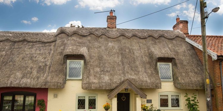 'my-neighbour-keeps-taking-photos-of-my-house-for-instagram-and-pretending-it's-hers'