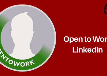 open-to-work-linkedin:-how-to-enable-it?-–-crossover-99