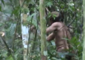 last-member-of-indigenous-brazilian-tribe-dies-–-yahoo