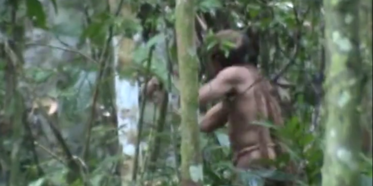 last-member-of-indigenous-brazilian-tribe-dies-–-yahoo