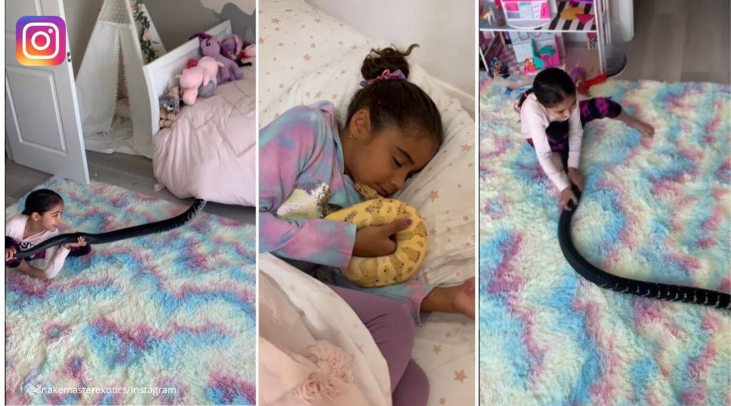 little-girl-shows-love-for-snakes-on-instagram-and-it's-astonishing-to-watch