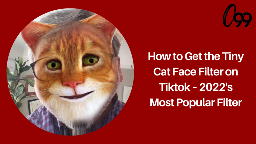 how-to-get-the-tiny-cat-face-filter-on-tiktok-–-2022's-most-popular-filter-–-crossover-99
